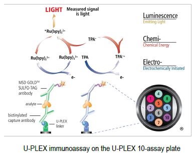 Electrochemiluminescence Technology